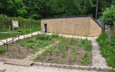 Aménagement de jardins pédagogiques – Raizeux 78